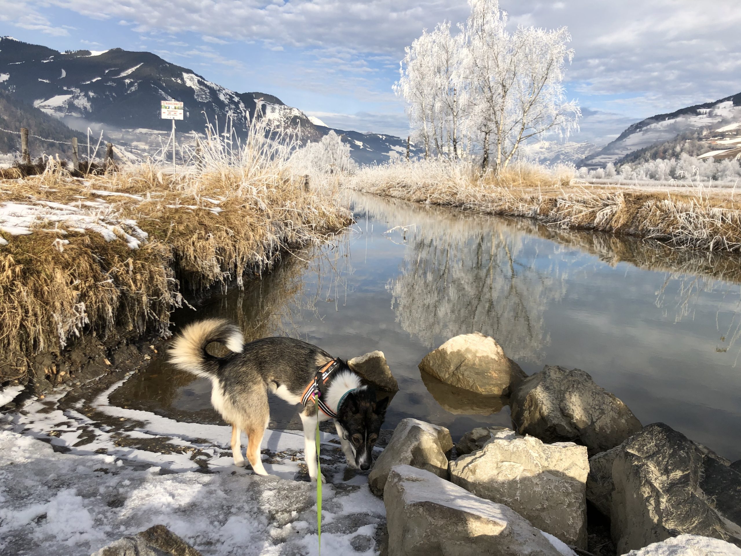 © Edith Danzer Kalter Winterspaziergang. 