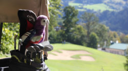 Inventur im Golfbag