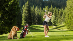 Golfspielen mit Hund? Klar geht das