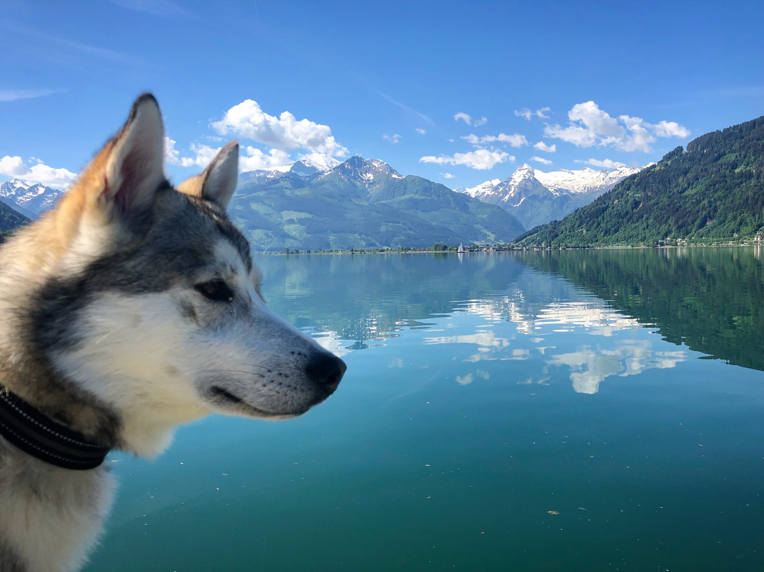 © Edith Danzer - Abkühlung in Sicht, doch nicht überall ist Baden erlaubt.