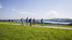 Fünf Personen wandern auf einem Pfad durch grüne Felder mit einem See und Hügeln im Hintergrund unter einem blauen Himmel.