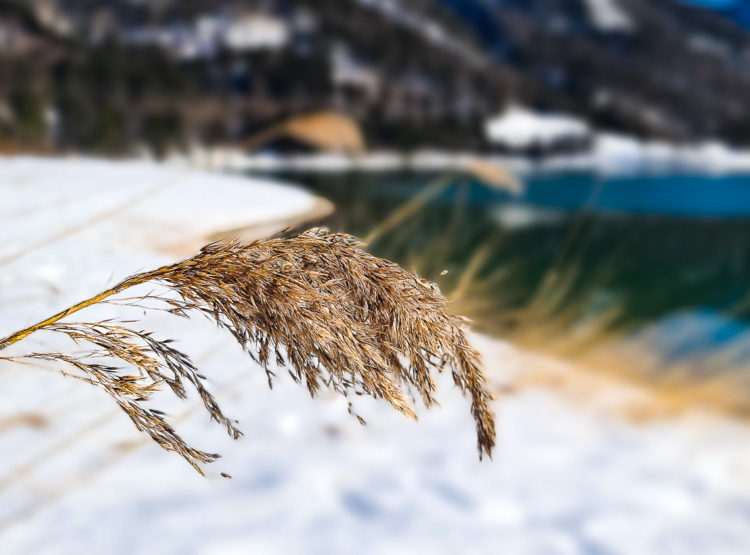 Winterspaziergang am Hintersee