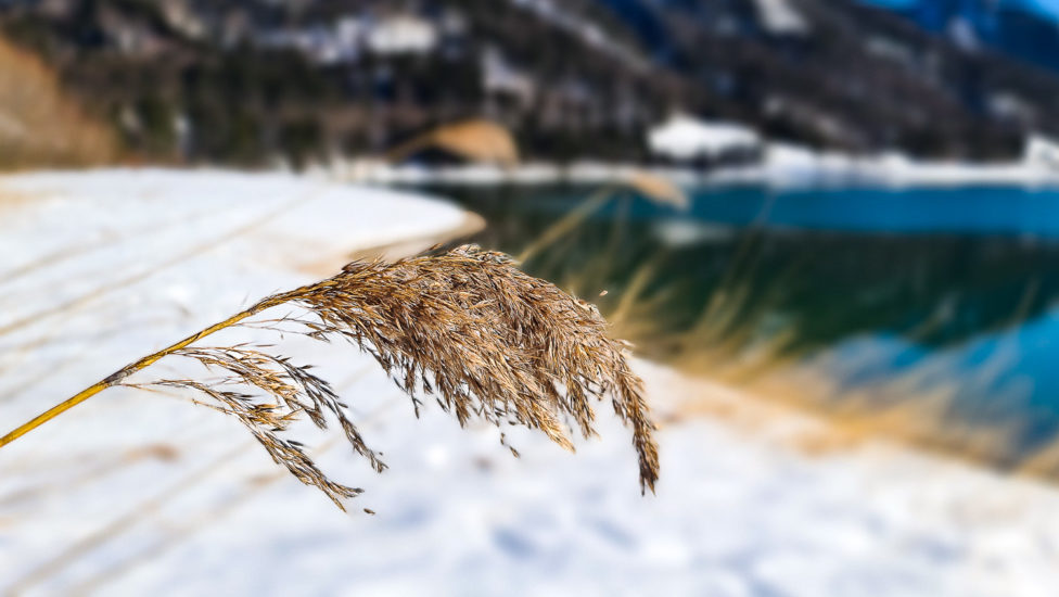 Winterspaziergang am Hintersee