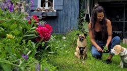 Eine Frau kniet mit zwei Hunden im Gras neben einem blauen Haus und blühenden Gartenblumen.