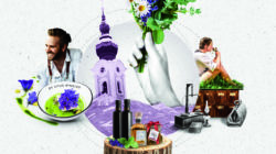 Collage aus Blumen, einer Kirche, einem lächelnden Mann, einem küssenden Paar und verschiedenen Speisen und Getränken auf Holzscheiben.