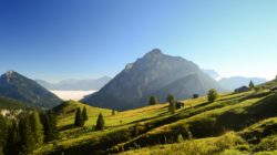 Die Postalm – Österreichs größtes Almgebiet