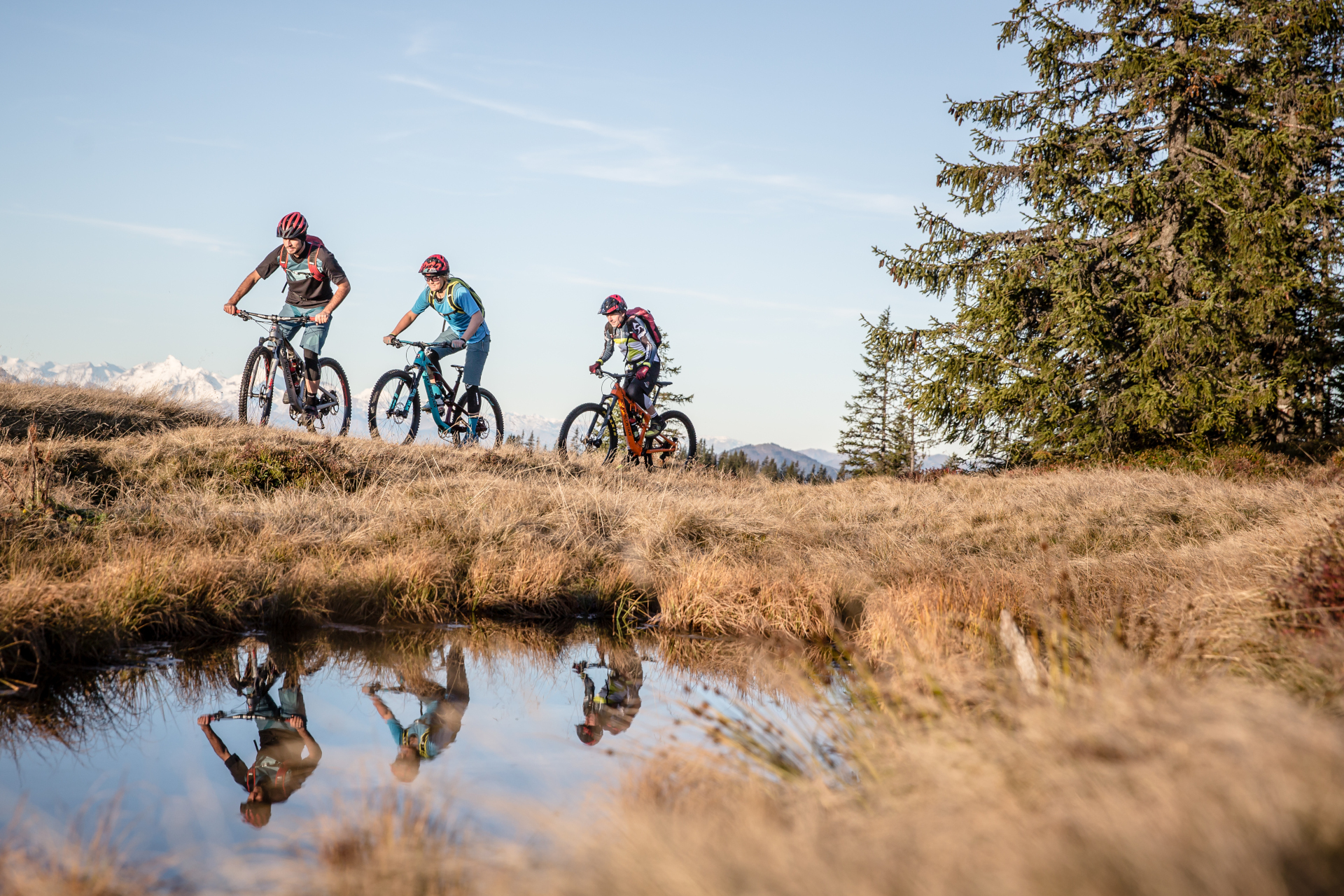 Drei Personen fahren mit ihren Mountainbikes auf einem grasbewachsenen Weg, der sich in einem kleinen Teich spiegelt, mit Bäumen und Bergen im Hintergrund.