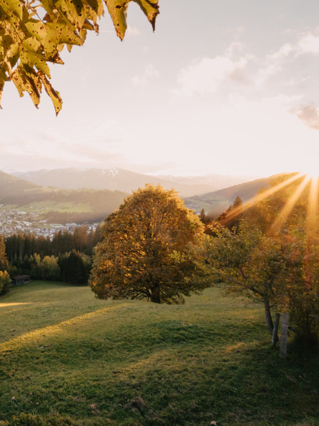 #AltZau Herbst.Zeit