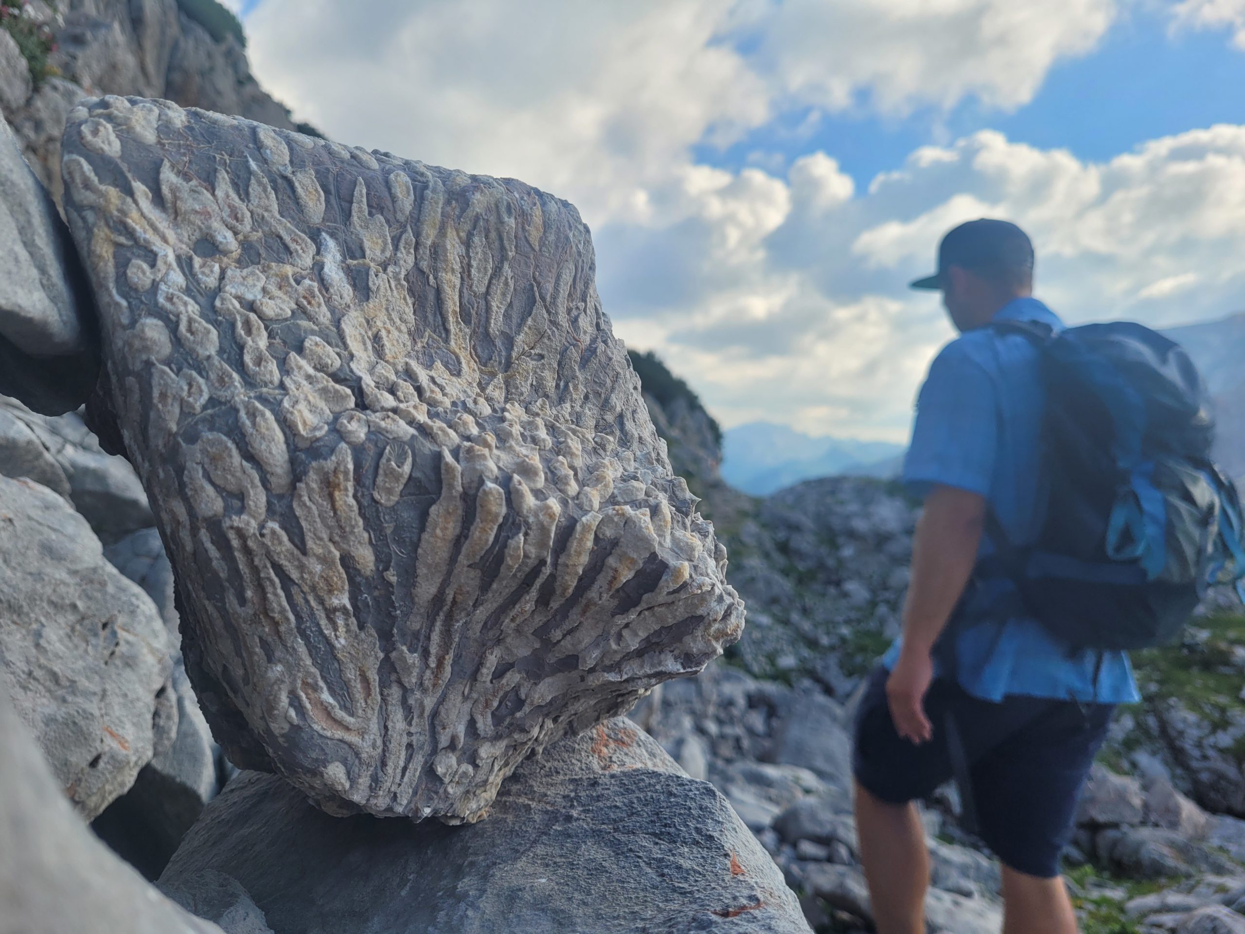 Fossilien im Steinernen Meer