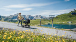 Der Almsommer auf 2.000 Metern