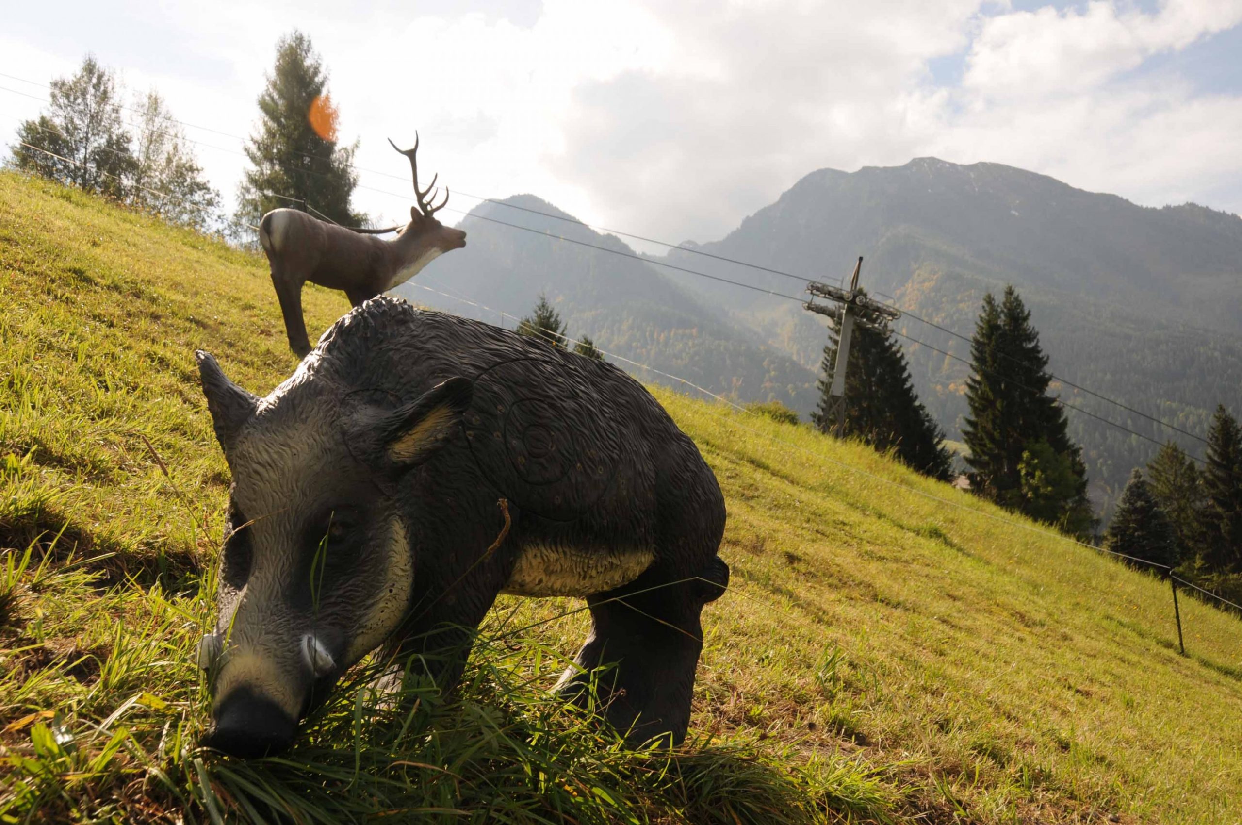 Wildschwein als Zielscheibe © Bogen-Jagd Alpendorf