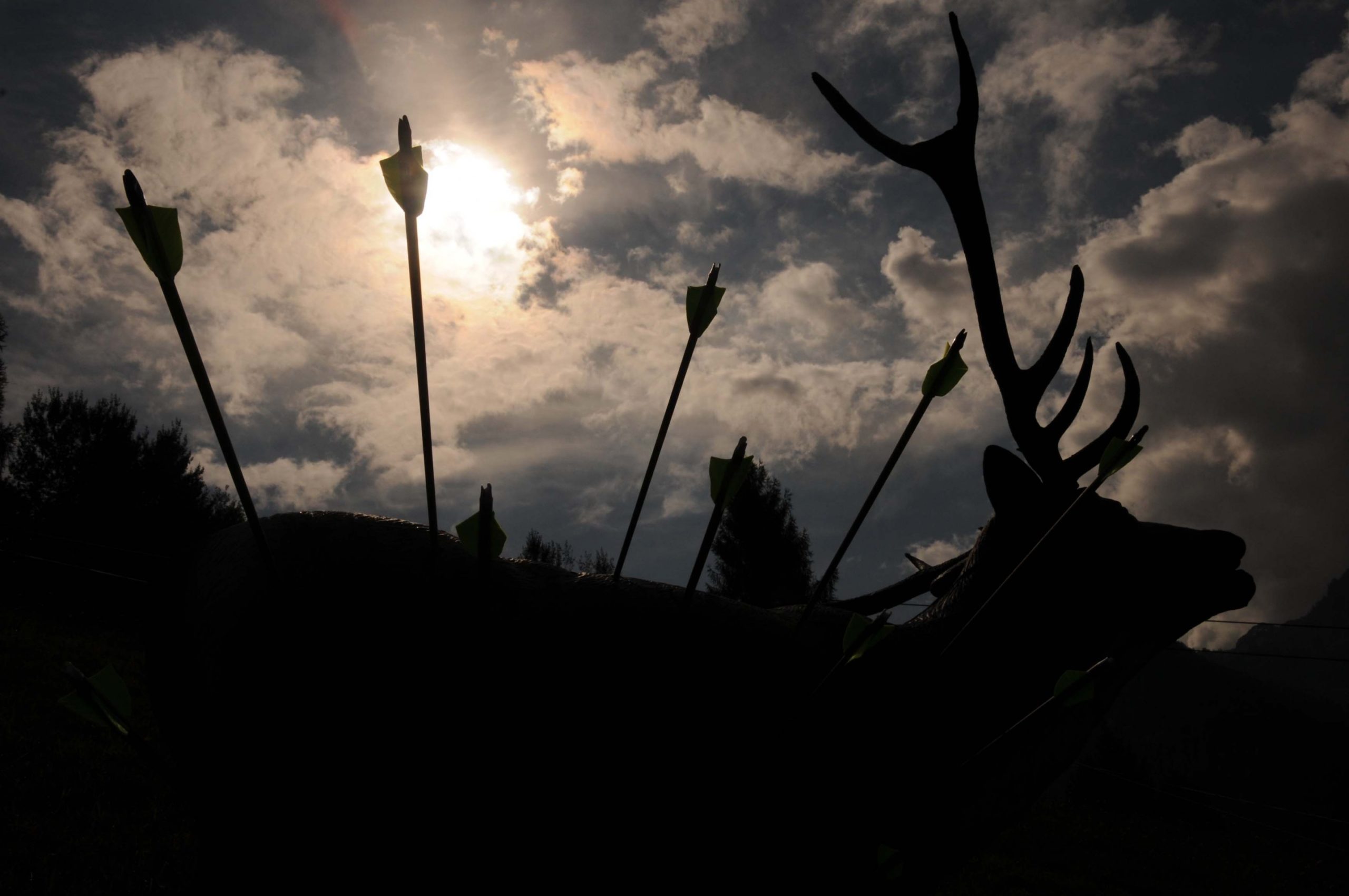 Pfeile im Abendlicht © Bogen-Jagd Alpendorf