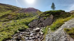 Ein felsiger Hügel mit einem kleinen Bach, Grasflächen, einem einsamen Baum und der Sonne am blauen Himmel.