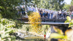 Menschenmenge auf einer Brücke lässt Hunderte von Gummienten für Das Entenrennen in Bergheim an der Fischach frei.