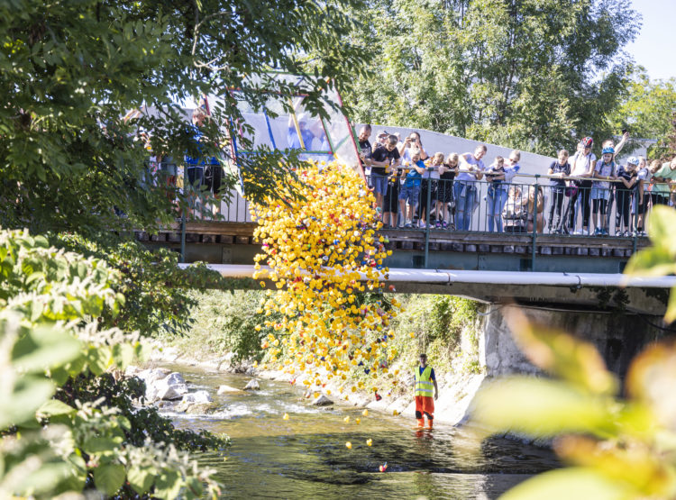 Menschenmenge auf einer Brücke lässt Hunderte von Gummienten für Das Entenrennen in Bergheim an der Fischach frei.