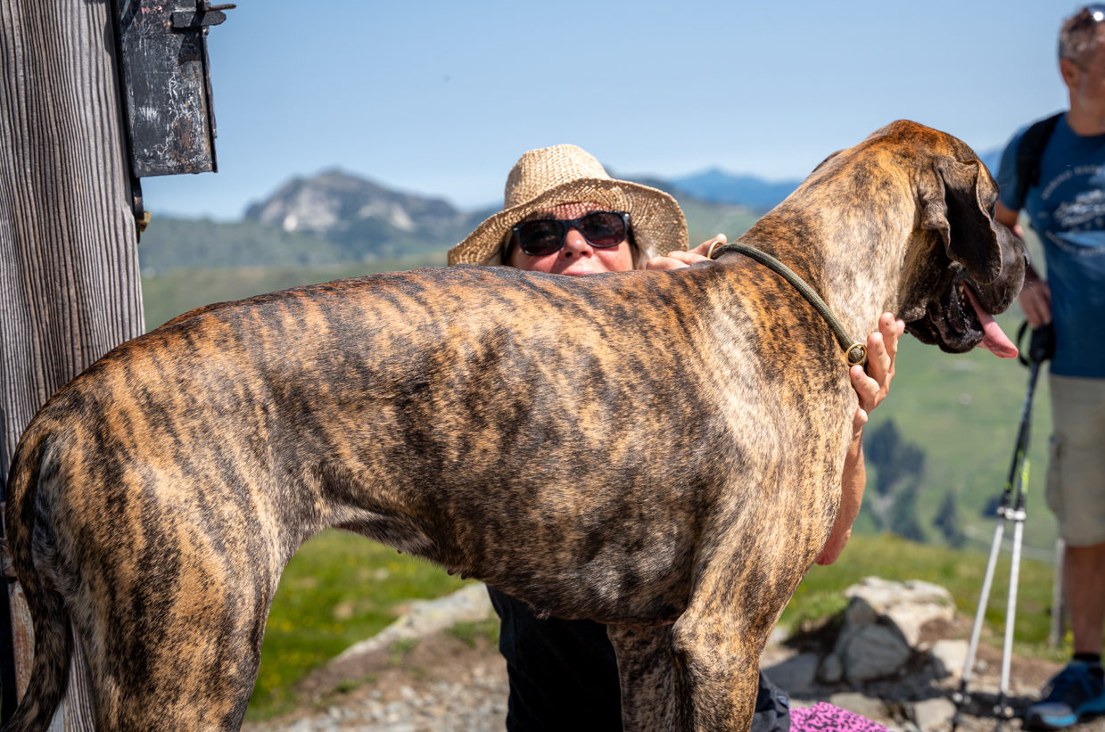© Edith Danzer Gipfelfoto mit Dogge