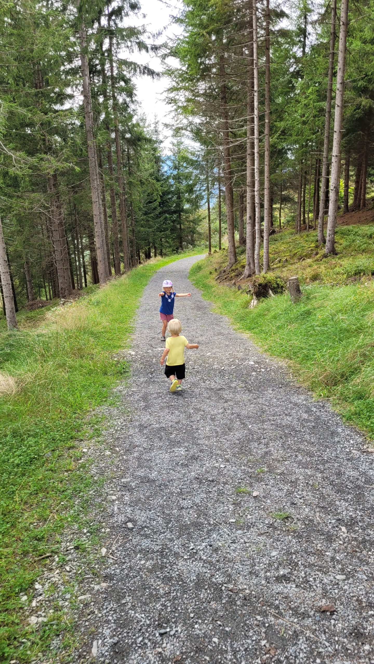 Weg vom Prinzensee zum Schlossspielplatz