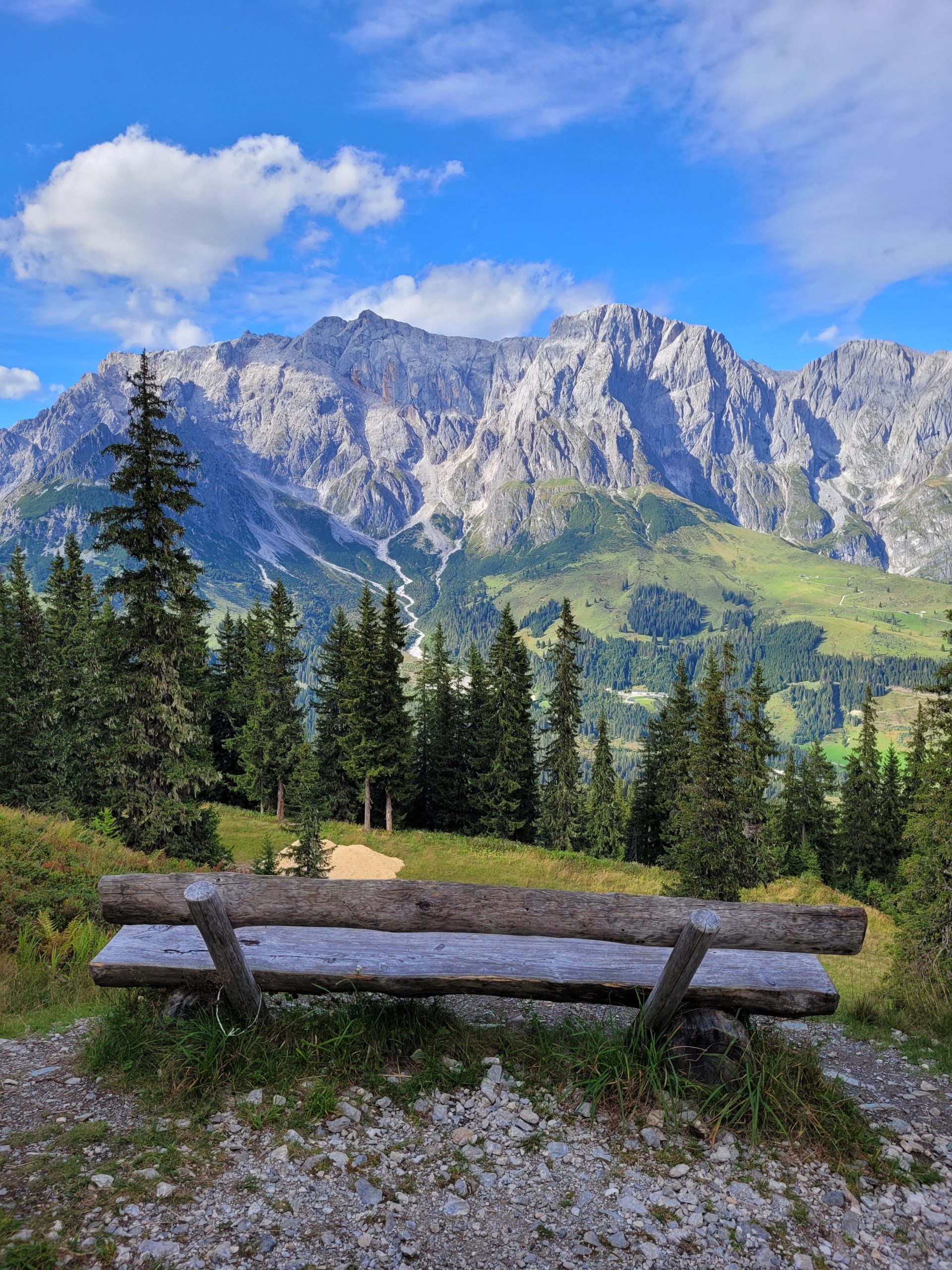 Bankerl mit Aussicht