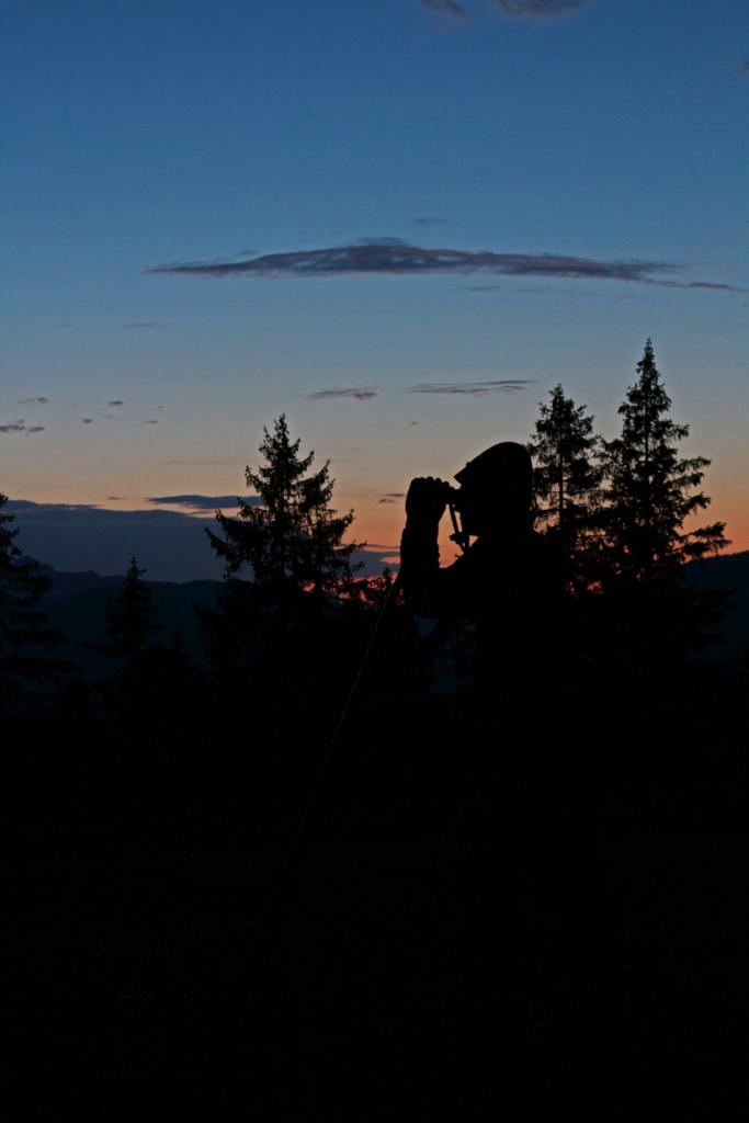 Pirsch im Morgengrauen c Christoph Burgstaller