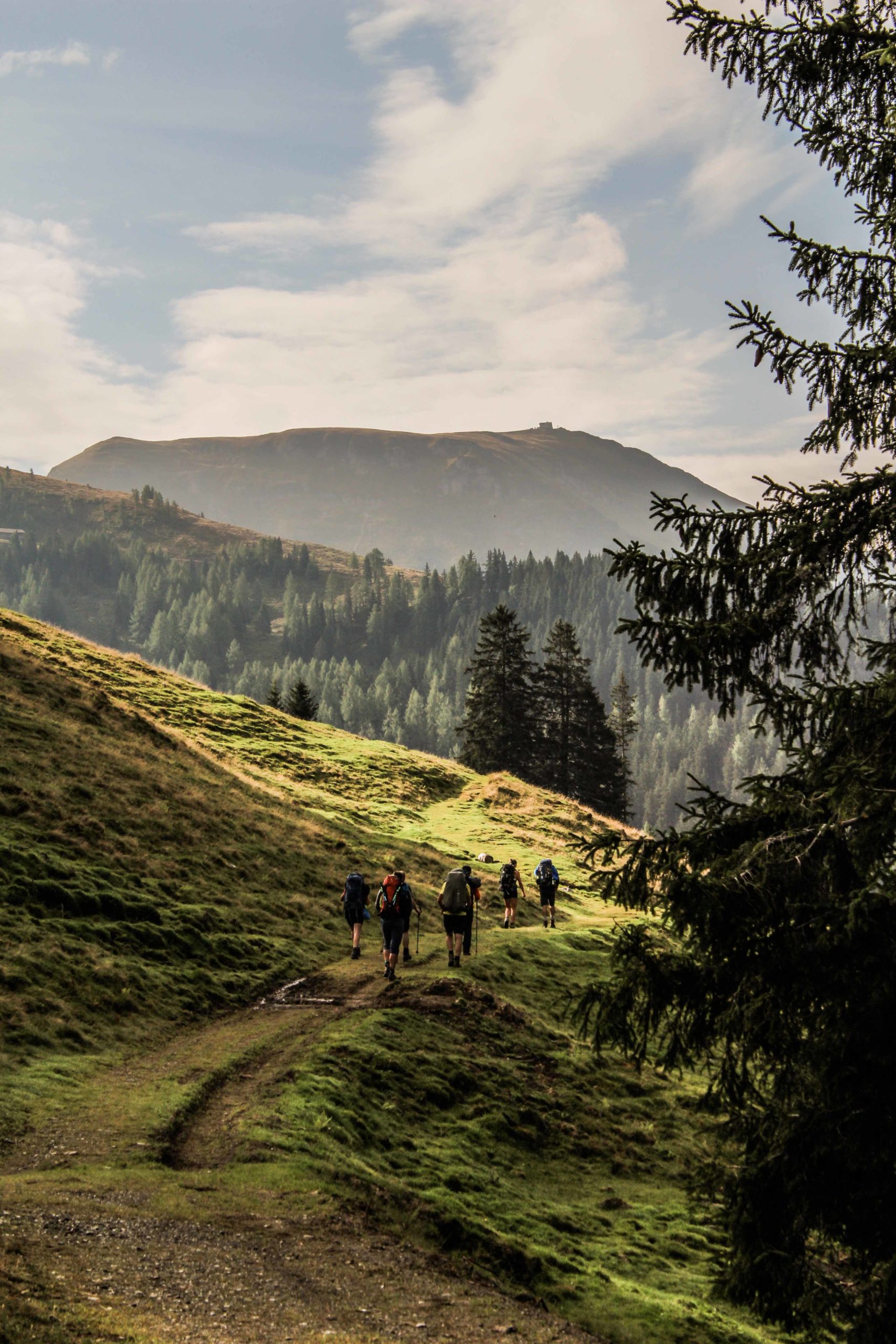 © Christoph Werntgen - Auf dem Weg zum Hundstein