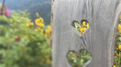 Kulinarische Hofwanderung in Gastein