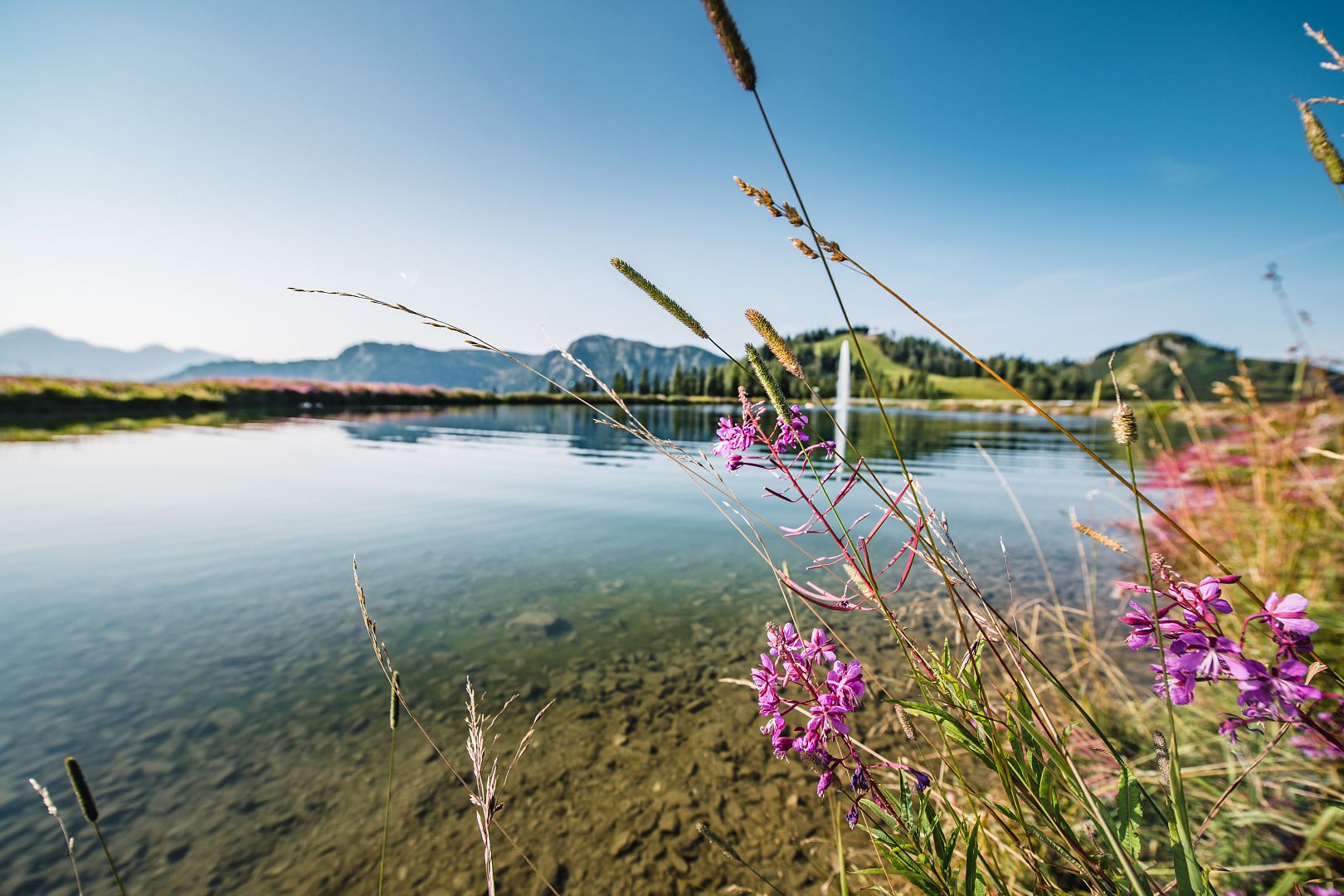 Grafenbergsee © Wagrain-Kleinarl