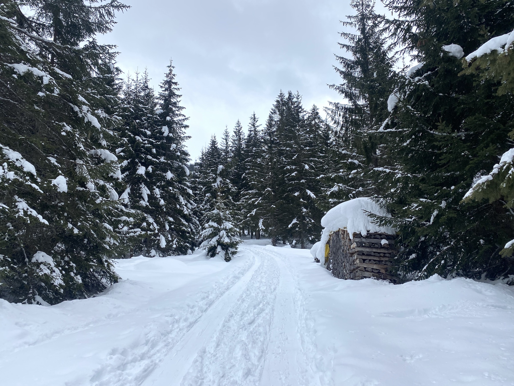 Waldbaden Angertal Gastein