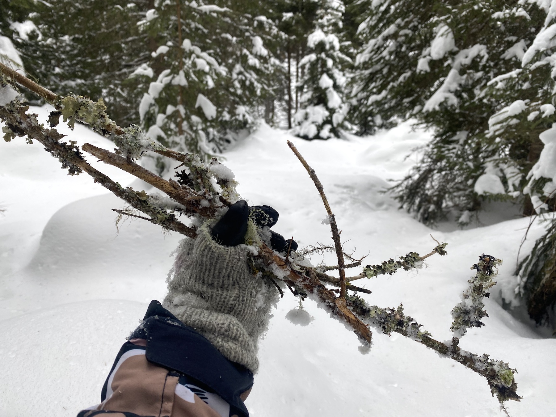 Naturschätze im Tiefschnee finden
© Anja Fischer