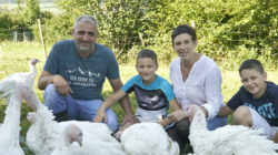 Eine vierköpfige Familie kniet mit großen weißen Truthähnen im Gras und genießt Bio Putenfleisch vom Bauernhof im Anthering.