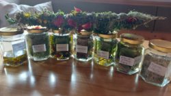 Die Kräuterhex von der Branntweiner Alm