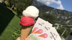 Nationalparkeis auf der Tüte © Talwirt