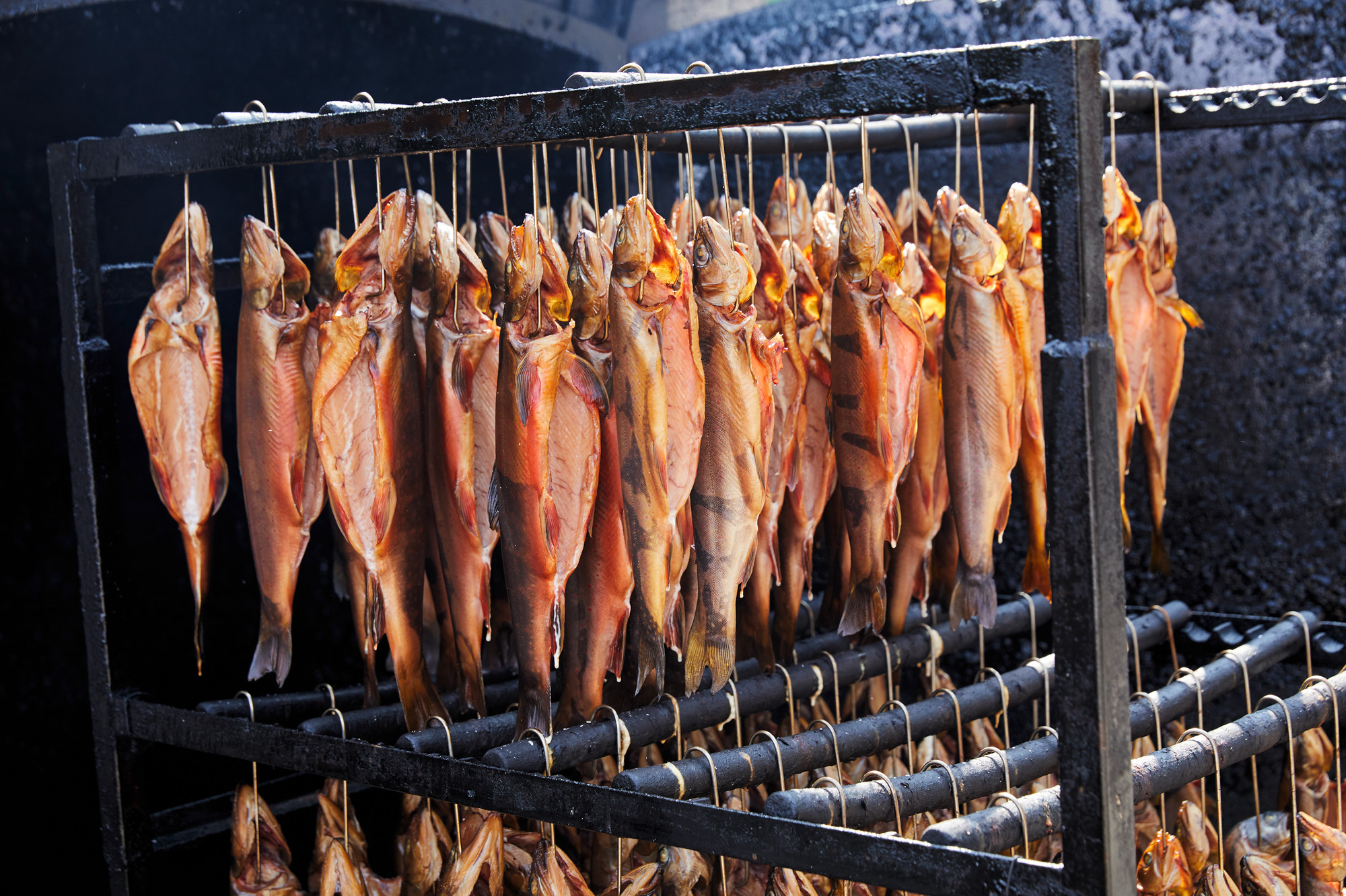 Frisch geräucherte Fische aus dem Fuschlsee | Andreas Hechenberger © SalzburgerLand Tourismus