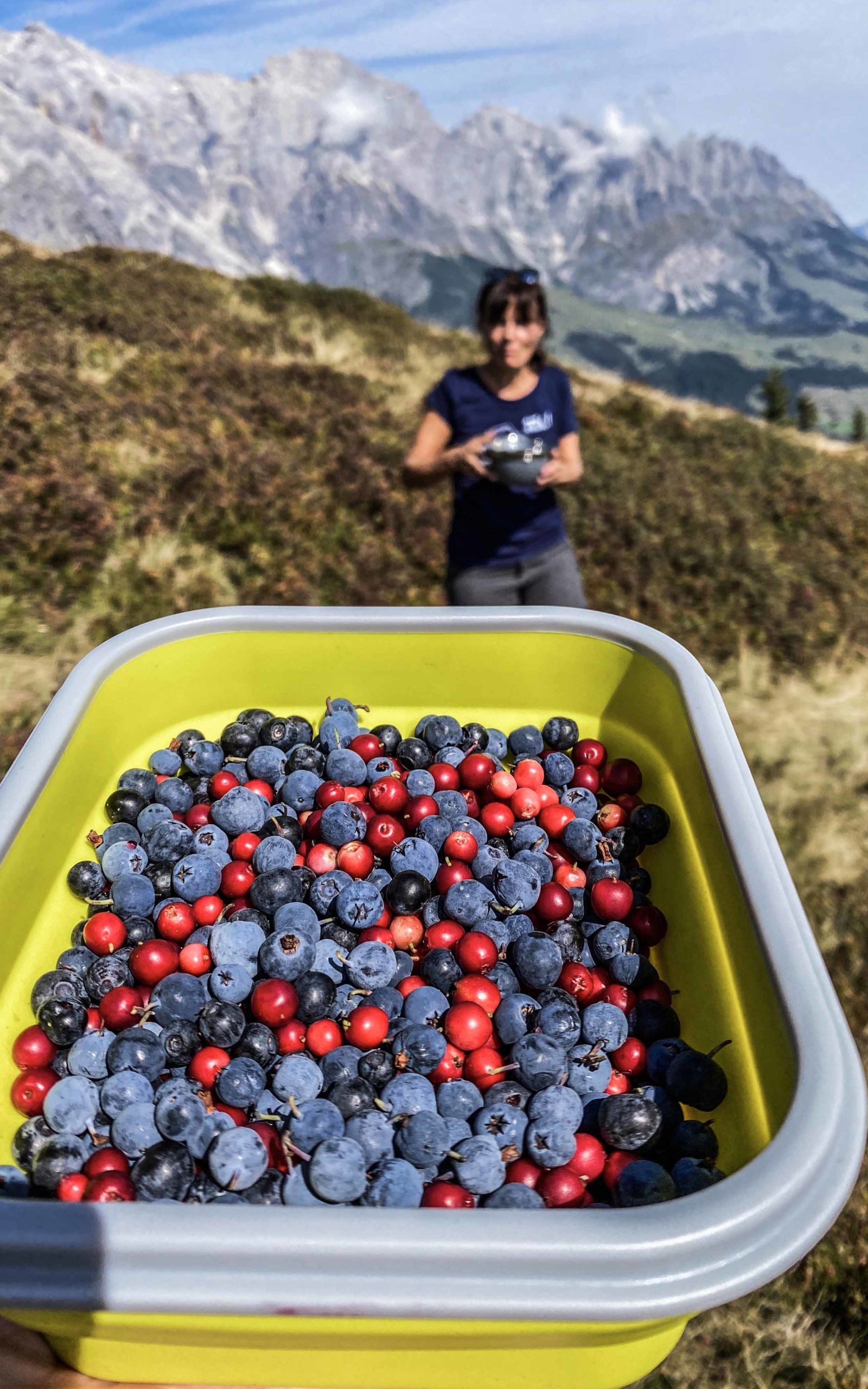 Heidel- und Preiselbeeren - © Christoph Werntgen