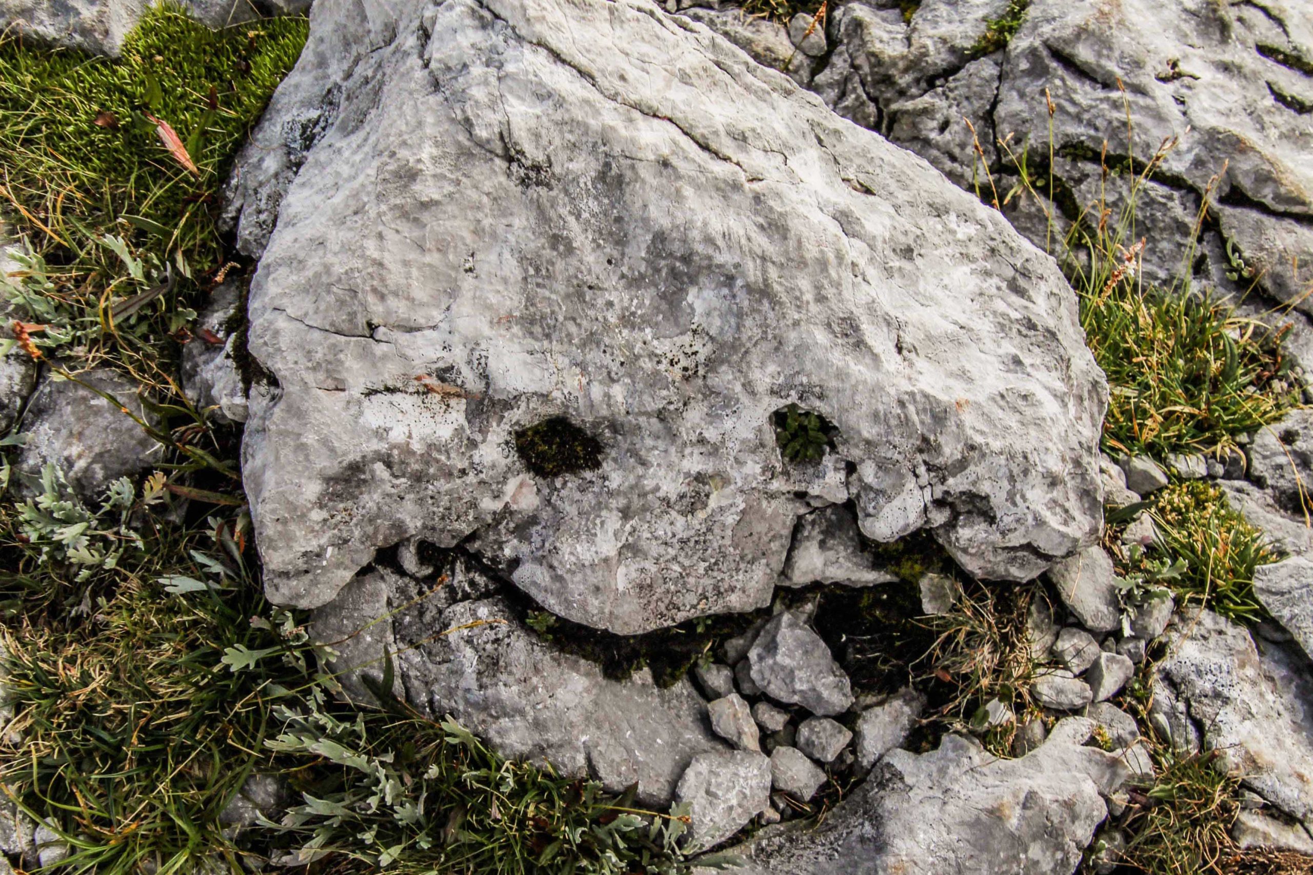 Einen lächelnden Stein entdeck man nicht alle Tage - © Christoph Werntgen