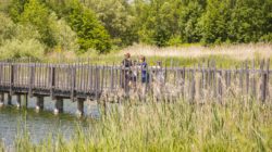 Natur Pur in Weitwörth