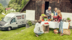 Campen zwischen Muh und Mäh