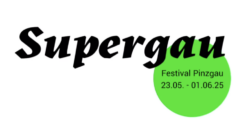 Supergau für zeitgenössische Kunst