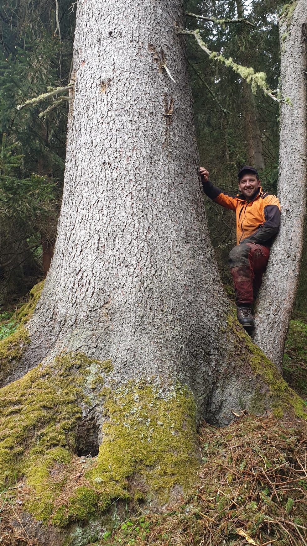 © Privat - Im Wald bei der Holzarbeit holt sich Hansjörg Inspiration