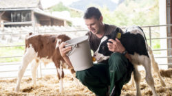 Willkommen am Zieferhof von Familie Perwein