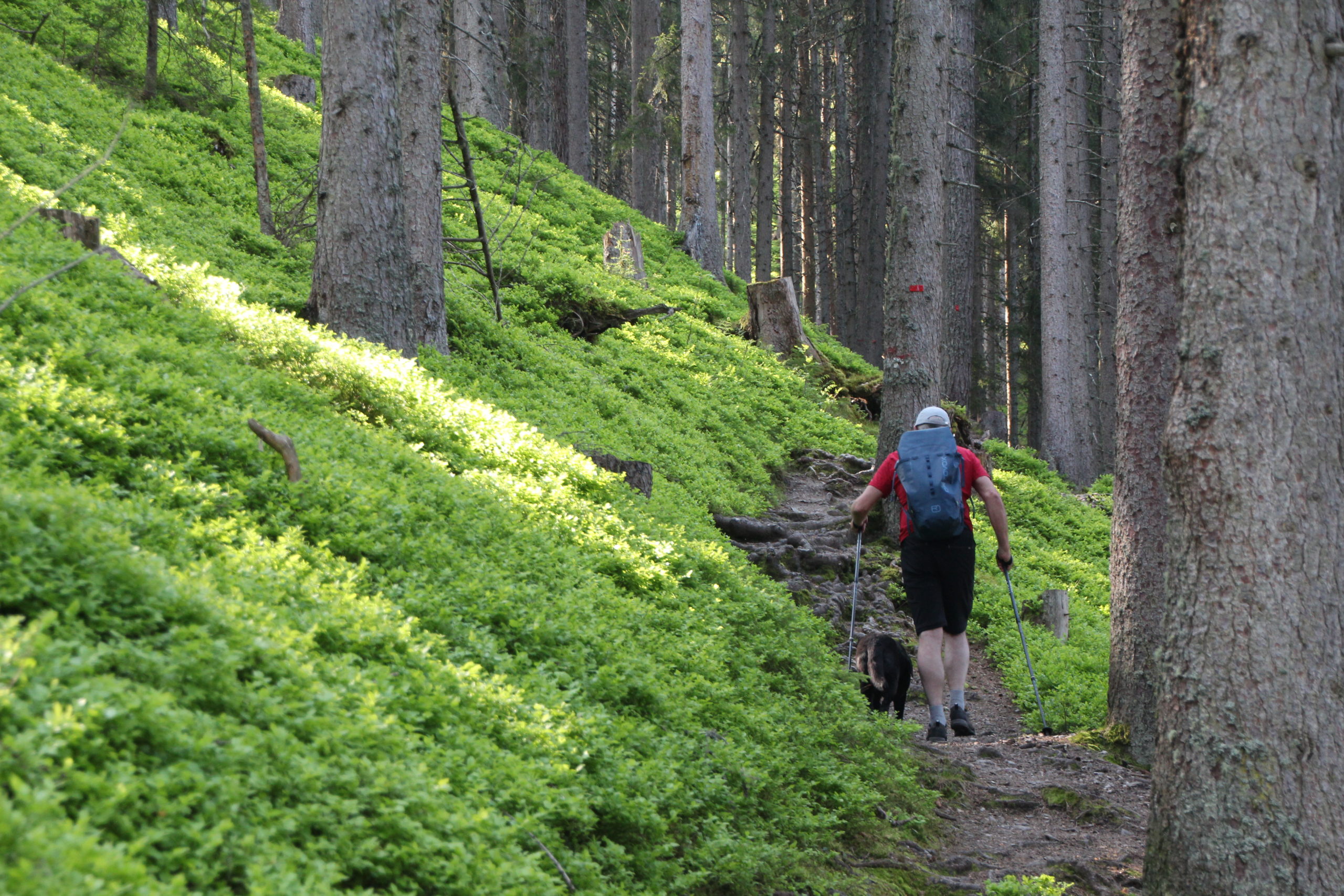 Gut sanierte Wege führen zum Hochgründeck © M. Riedler