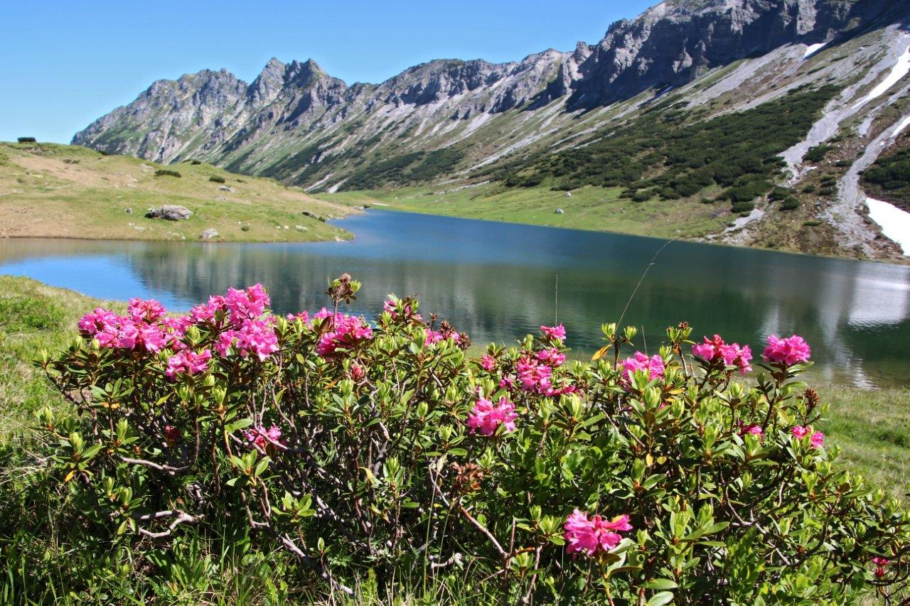 Oberhüttensee (Foto: Maria Riedler)