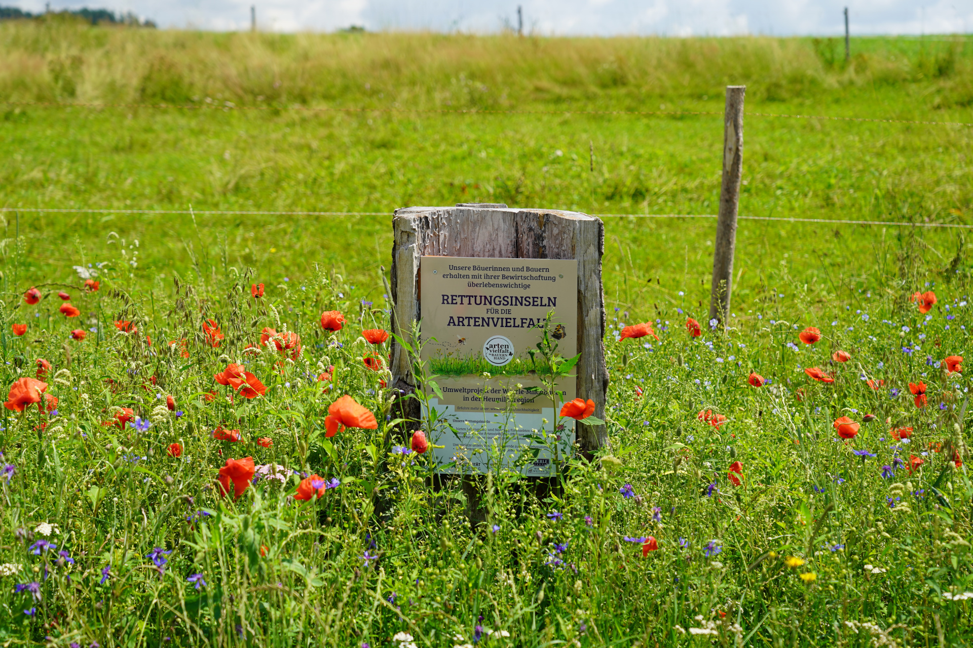 © Käserei Woerle - Rettungsinsel