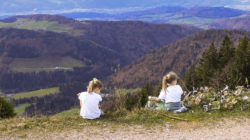 Auf den Ochsen gekommen