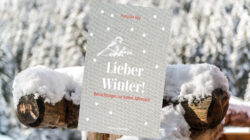 Ein Buch mit dem Titel Lieber Winter! steht auf einem schneebedeckten Holzstamm mit einem verschneiten Wald im Hintergrund.