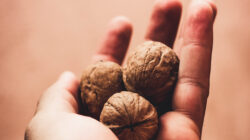 Eine Nahaufnahme einer Hand, die drei ungeschälte Walnüsse vor einem weichen, unscharfen Hintergrund hält.