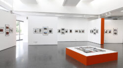 FOTOHOF, Ausstellung » Inge Morath. Where I See Color«, 2023. Bild: Rainer Iglar