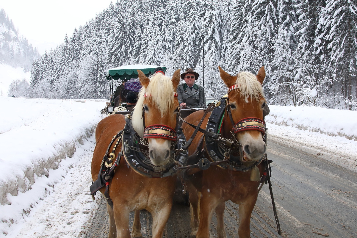 Winterausfahrt im Großarltal © www.grossarltal.info