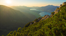 Sonnenaufgang über grünen Bergen und See mit fernen Gipfeln, gesehen vom Sparber Rundweg aus bei klarem Himmel.