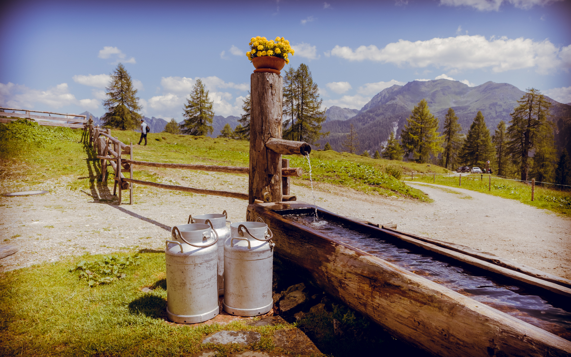 Zwei Milchkannen aus Metall neben einem Wassertrog auf der Tauernkarleitenalm, mit Bäumen und entfernten Berggipfeln.