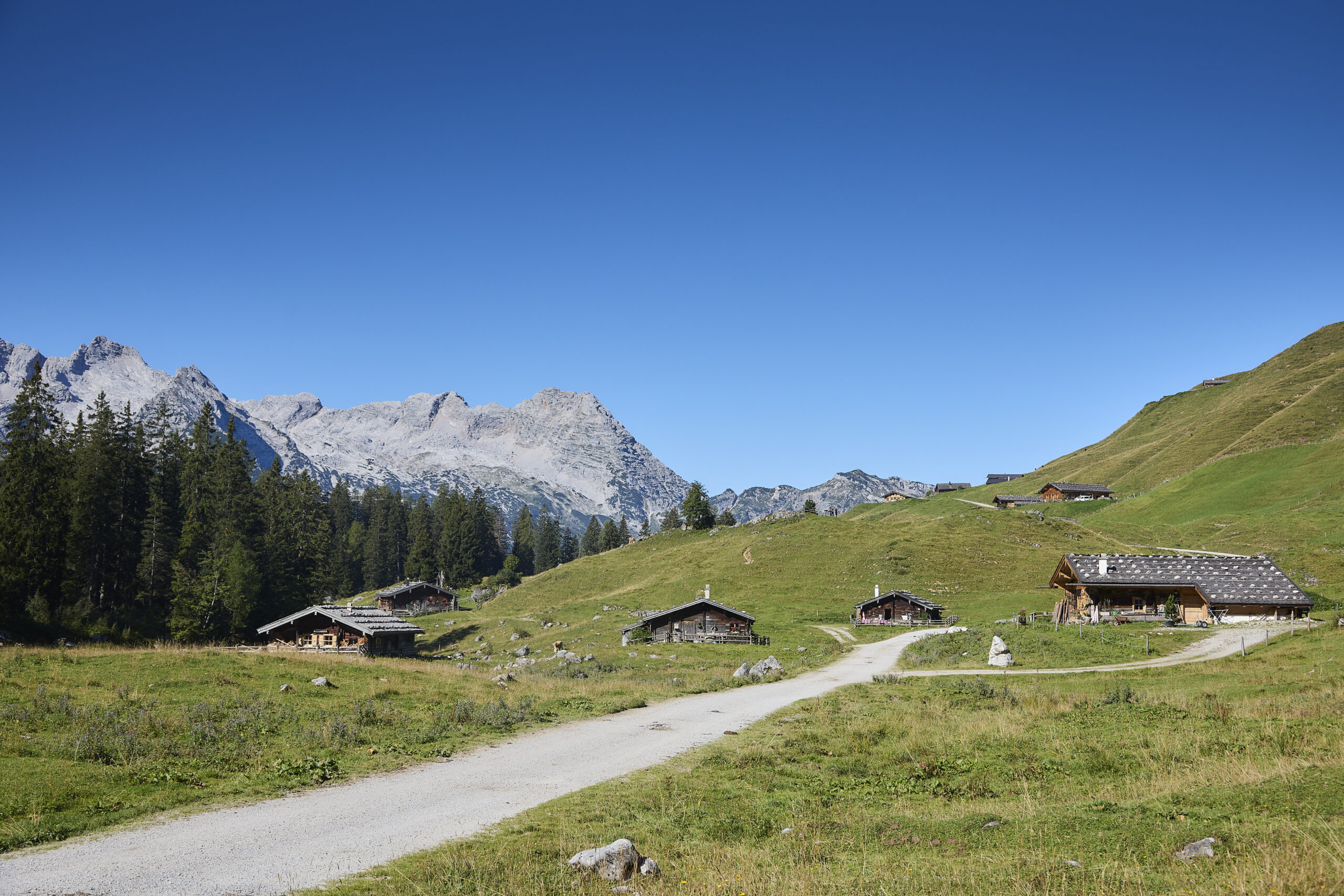 © Daniel Roos Fotografie Die Kalbrunnalm im Naturpark Weißbach. 